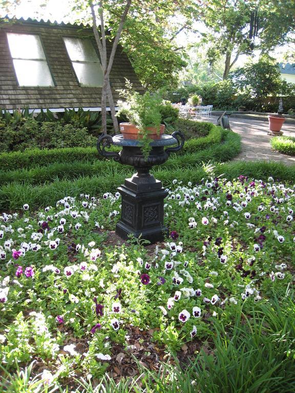 Belle Oaks Inn Gonzales Екстер'єр фото